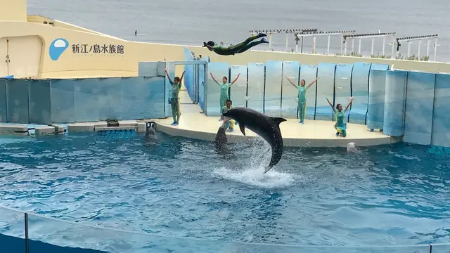 車でフラフラっ〜と。