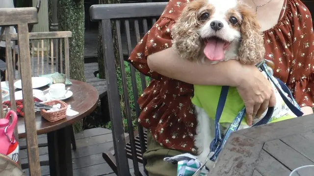 愛犬と行く那須高原🎵