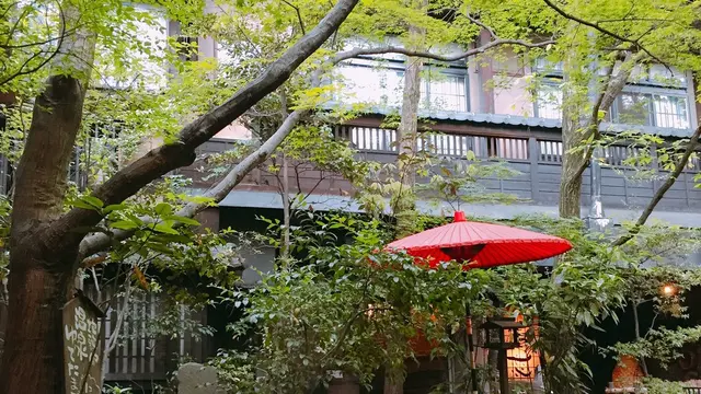 阿蘇の推し温泉5選♨️絶景カフェを添えて