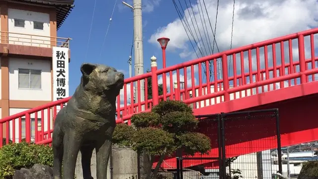 【 秋田 】大館をめぐる食べる癒される📸