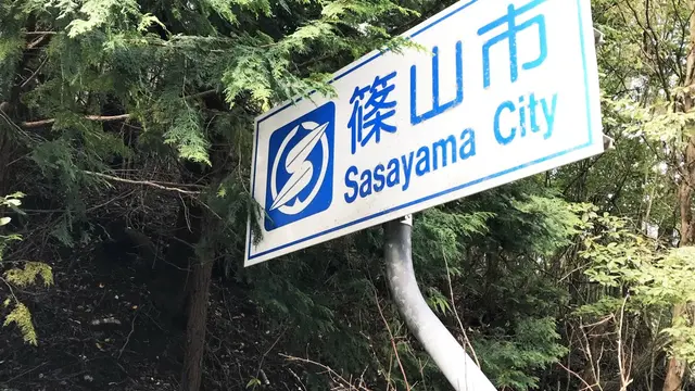 丹波篠山・黒枝豆のシーズン