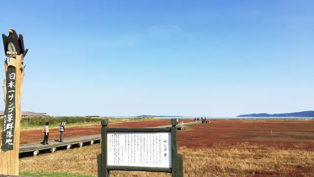 北海道観光!3泊4日の旅♡3日目&4日目(最終日)編