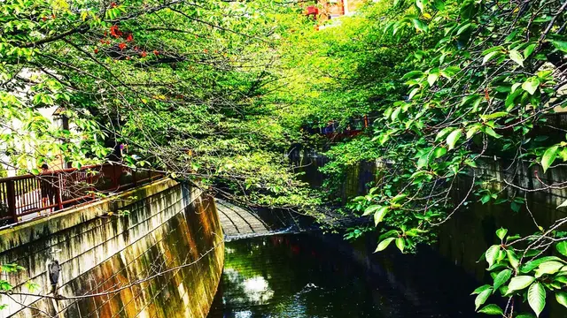池尻・中目黒ほっこりお散歩