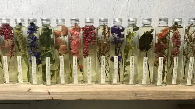 清澄白河散歩🌿