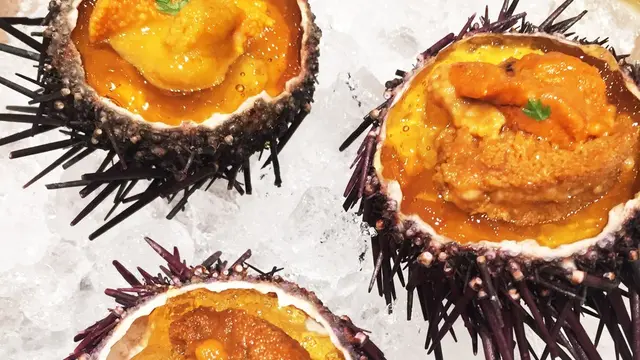 【銀座】普段使いのイタリアン♪