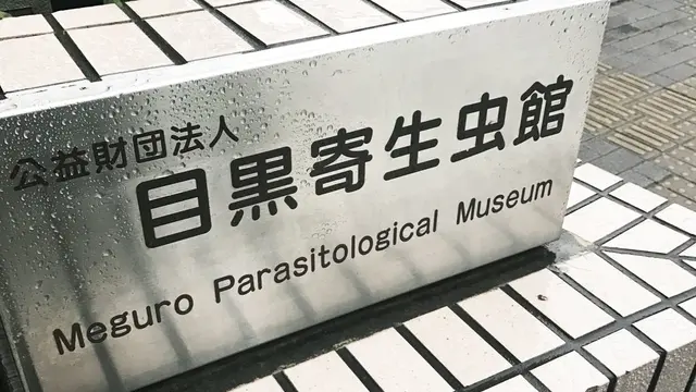 目黒寄生虫博物館