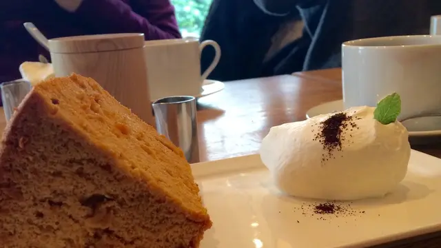 世田谷線「せっかくだから歩こう」日中おさんぽ