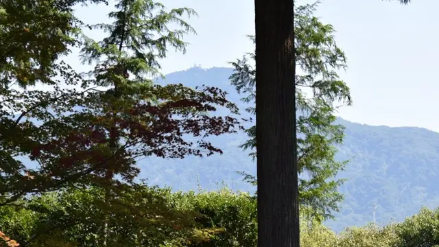 食べ飲み好き女子の京都一人旅