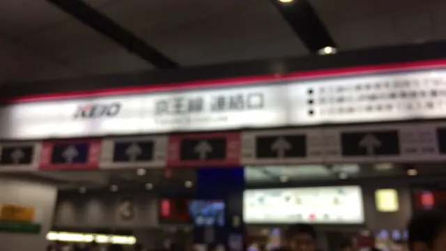 高尾山 H29,11,5 (日)