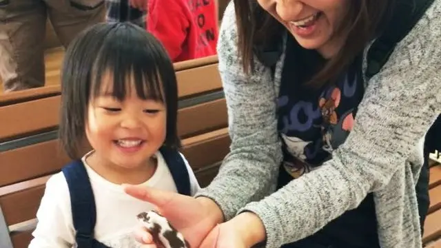 子ども大喜び♪阿蘇周辺の動物と触れ合えるスポットまとめ