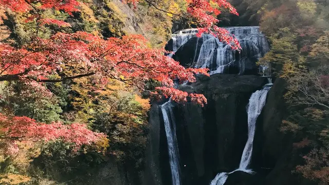水戸発！日帰りで奥久慈・大子町めぐり