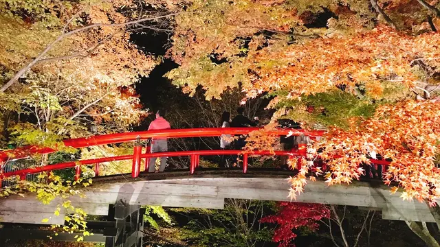 紅葉に癒される温泉の旅🍁♨️