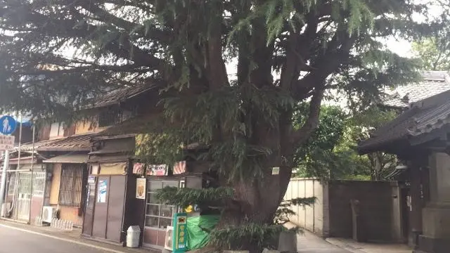 上野から歩いて谷根千ぶらり