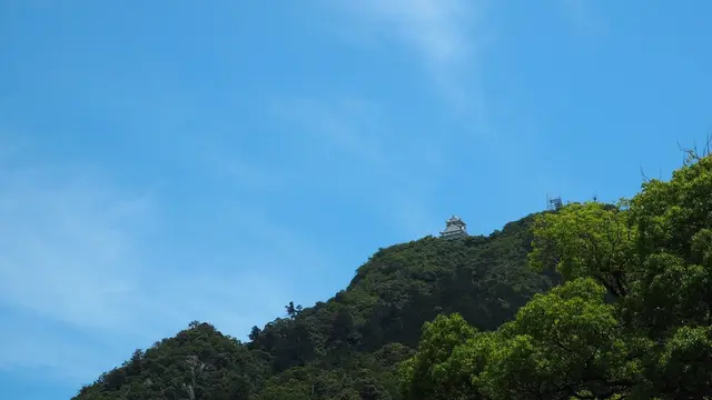 真夏のひとり旅、岐阜はセンスに溢れた町だった。