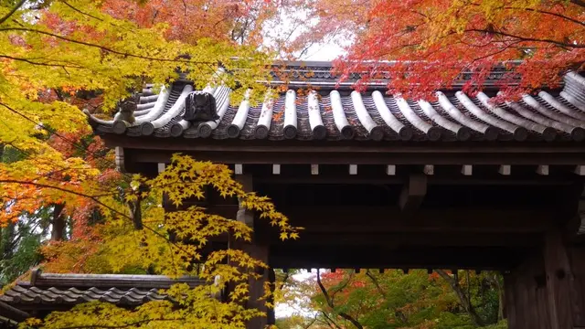 秋の京都を大満喫しよう[京都1泊2日♡]