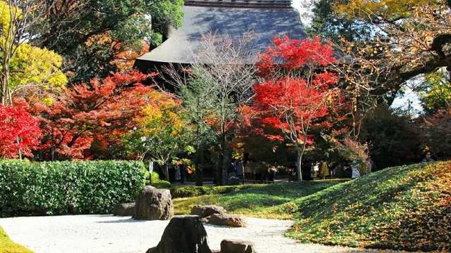 都内で紅葉を楽しむ(世田谷区と近隣)