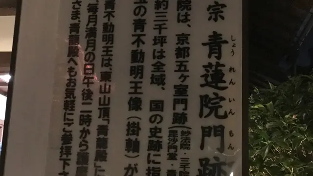 青蓮院門跡 ライトアップ
