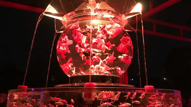 冬の京都デートプラン