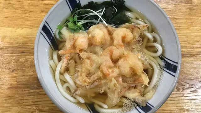 高知旅