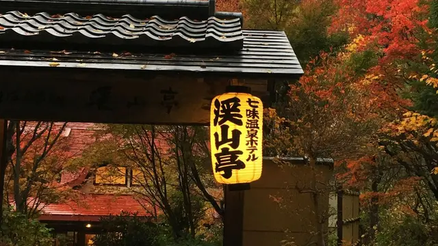 楽しめるモフモフ!オススメのたぬき(動画あり)がいる信州の旅