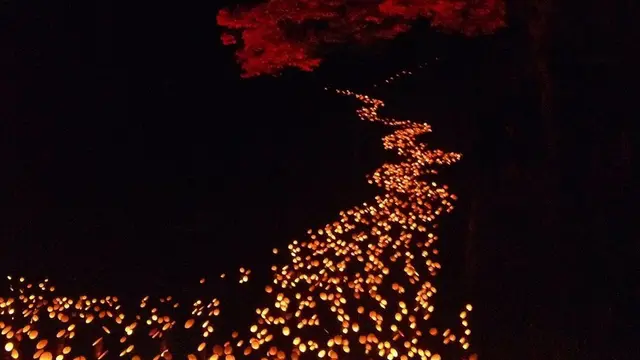 大分県竹田市 城下町・大自然・温泉の贅沢コース