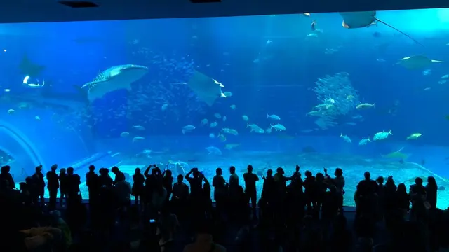 沖縄3日間旅行(東京ー>沖縄)