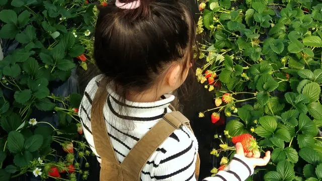 【館山】一足先に春を感じたい!