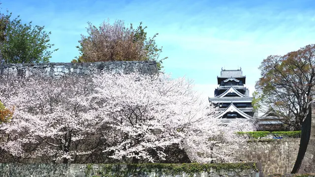 【熊本旅行】
