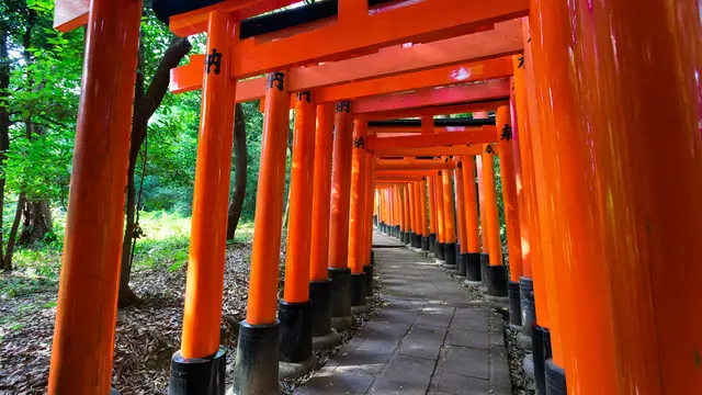 【真夜中のプリンス ロケ地へ行ってみよう】根津・谷中・千駄木エリア