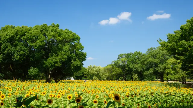 万博公園→梅田