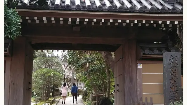 おひとり様の鎌倉梅三昧