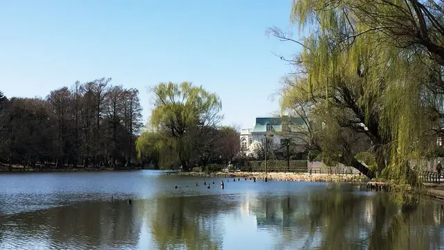 石神井公園で春デート