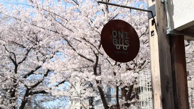 お花見のお供にはコーヒーを!☕️人気No.1桜スポット【中目黒】でお花見カフェ巡り🌸