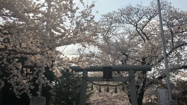 埼玉県狭山市水富から稲荷山公園