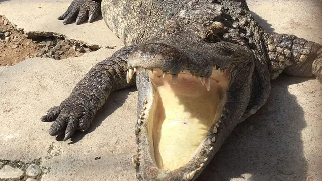 下田の源泉かけ流し飲泉。