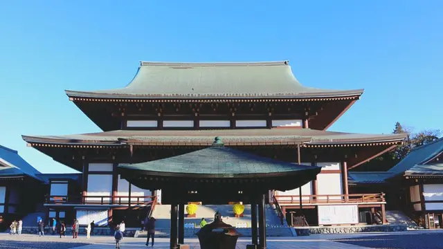 成田周辺満喫さんぽ✈️