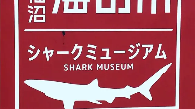 みやぎドライブ