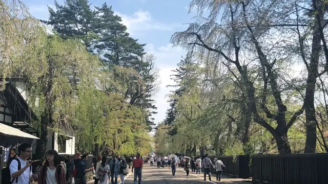 アラバキついでに！秋田桜めぐりのたび