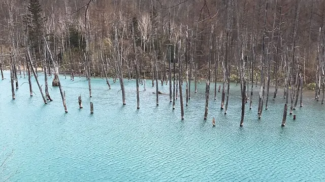 旭川〜小樽旅