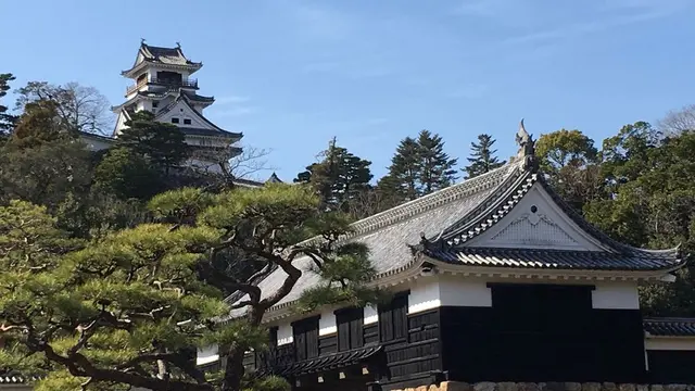 石ちゃんのぶらり旅🚘-日曜市をぶらり散策-