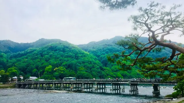 京都一泊二日の弾丸寺巡り