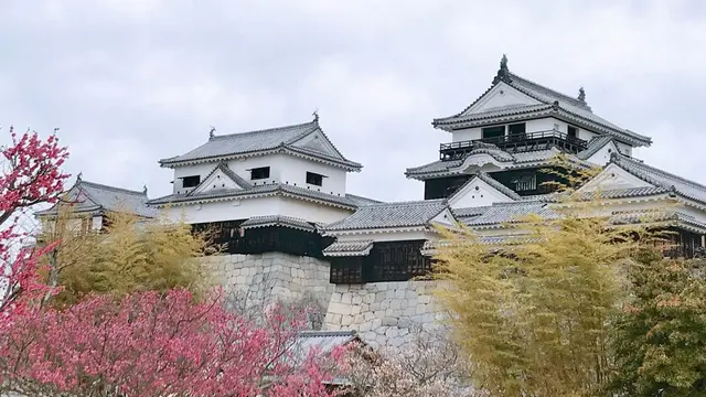 ［1泊2日］愛媛  松山堪能プラン