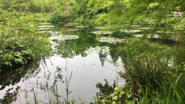 安芸市の旅