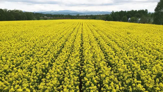 道央道ドライブ