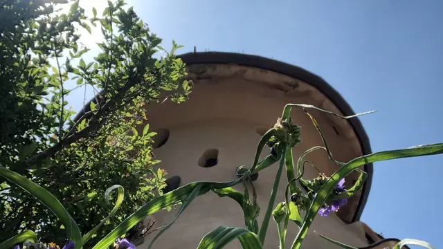 トーベ・ヤンソン あけぼの公園と高句麗の歴史