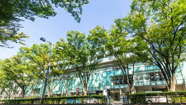 表参道の定番を遊びつくす