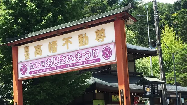 高幡不動尊のあじさいまつりを見てあじさいソフトで一休み