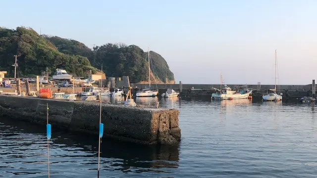 千葉の勝浦の貸切クルーザー海釣り！
