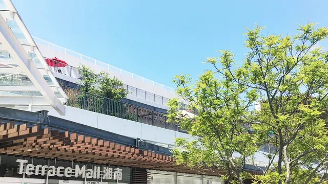 雨でも楽しめる湘南日帰り旅
