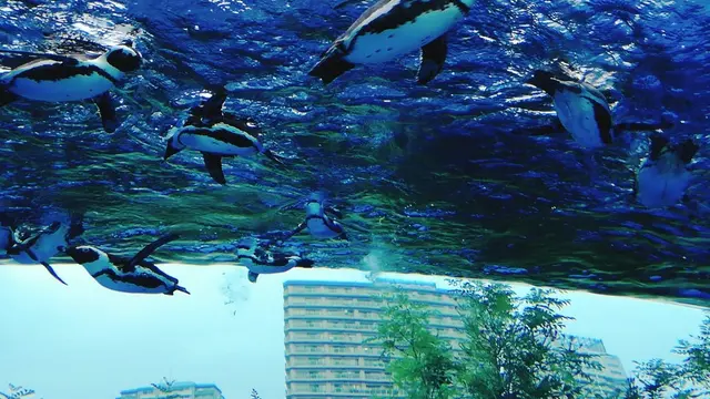 【雨の日デートプラン】池袋サンシャインシティを1日遊びつくす